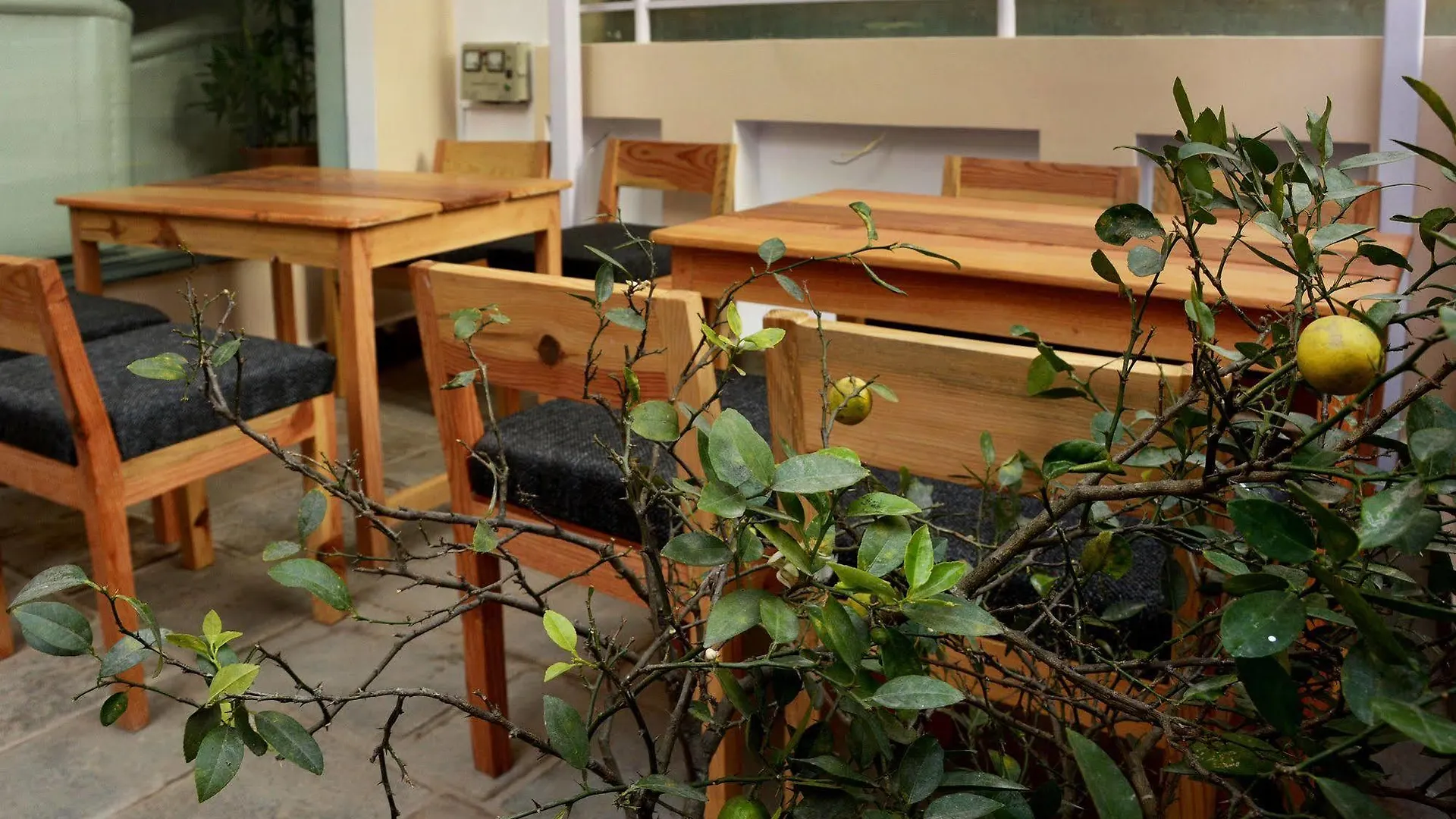 Lemon Tree Hotel Pvt. Ltd Kathmandu 3*,